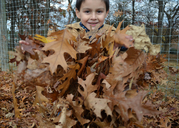 Childrens Photography by Elyk Studios Photography - Delaware